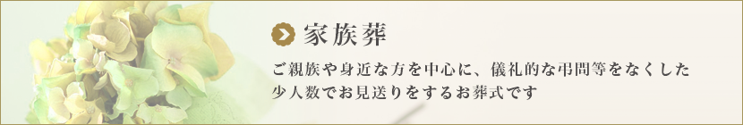 サンプルの画像