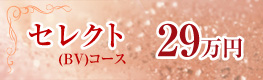 セレクト(BV)コース