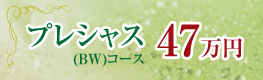 プレシャス(BW)コース