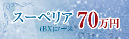 スーペリア(BX)コース